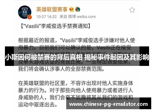 小斯因何被禁赛的背后真相 揭秘事件起因及其影响 小斯因何被禁赛的背后真相 揭秘事件起因及其影响