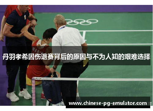 丹羽孝希因伤退赛背后的原因与不为人知的艰难选择