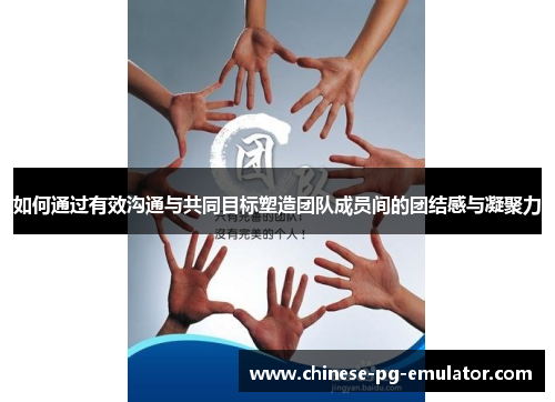 如何通过有效沟通与共同目标塑造团队成员间的团结感与凝聚力