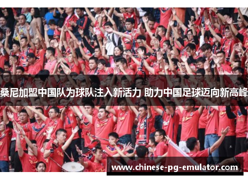 桑尼加盟中国队为球队注入新活力 助力中国足球迈向新高峰